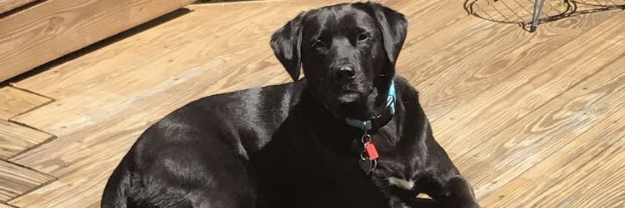 LindseyyyThomas's profile banner image