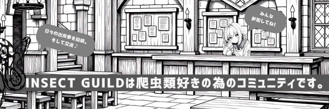 insectguild's profile banner image