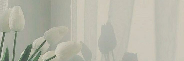 ハ banner