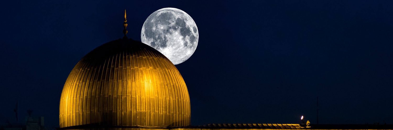 FadiAlriahy's profile banner image