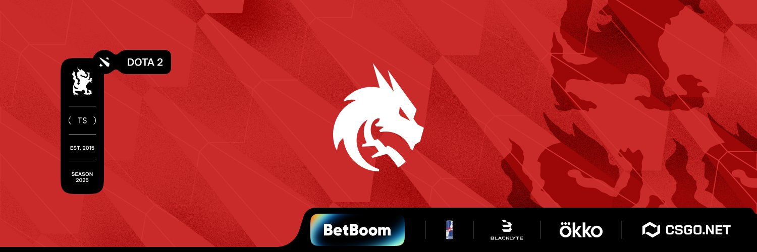 Team Spirit Dota 2's banner