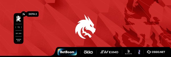 TSpirit_Dota2 Profile Banner