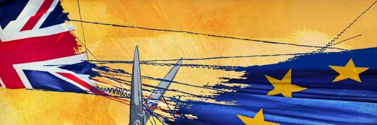 debhamilton72's profile banner image