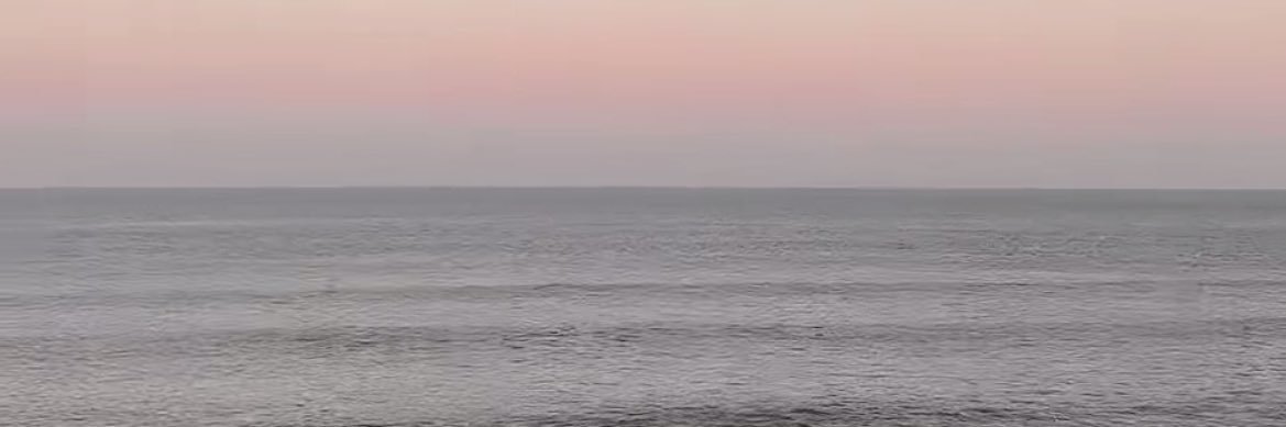 🌺 banner