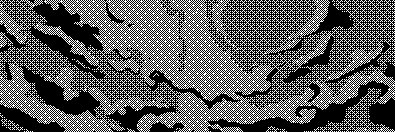 SMcarthurMclean's profile banner image