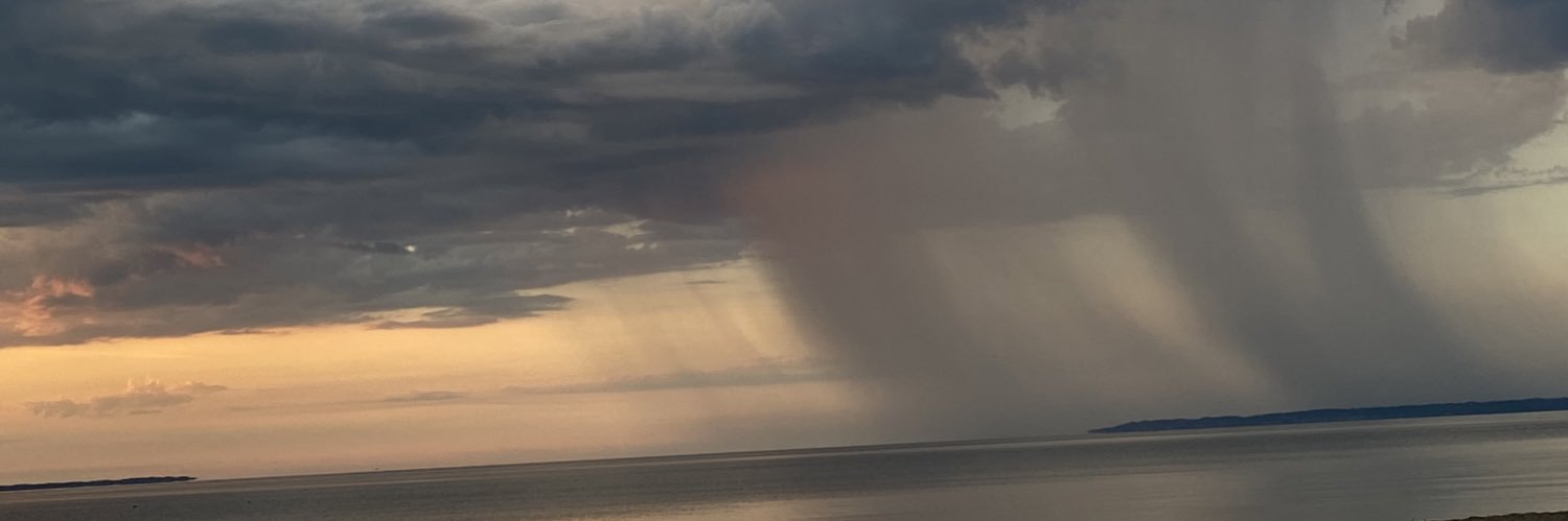 muvamoonbeam's profile banner image