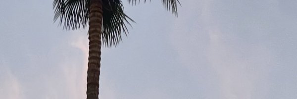 KFi Profile Banner