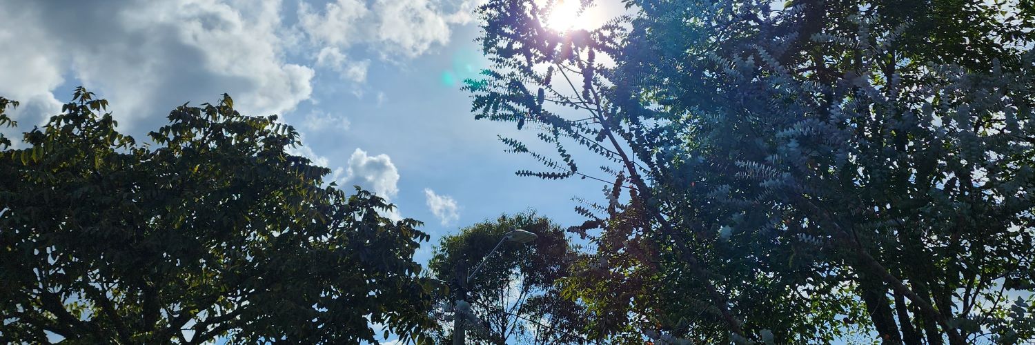 Juanes252's profile banner image