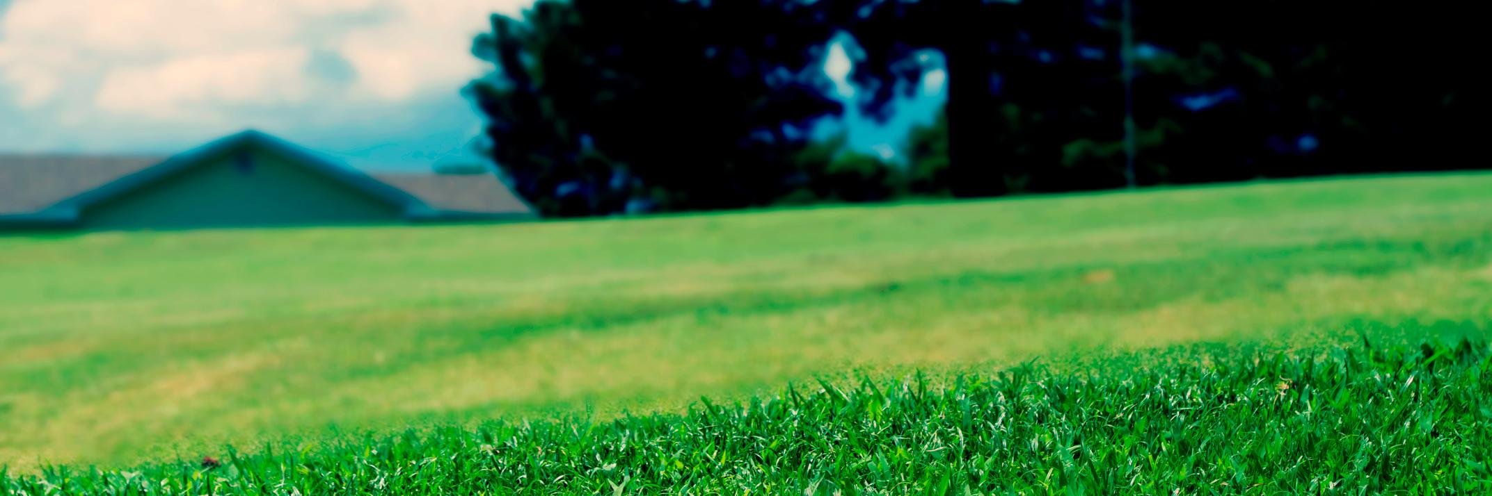 joshkopp's profile banner image