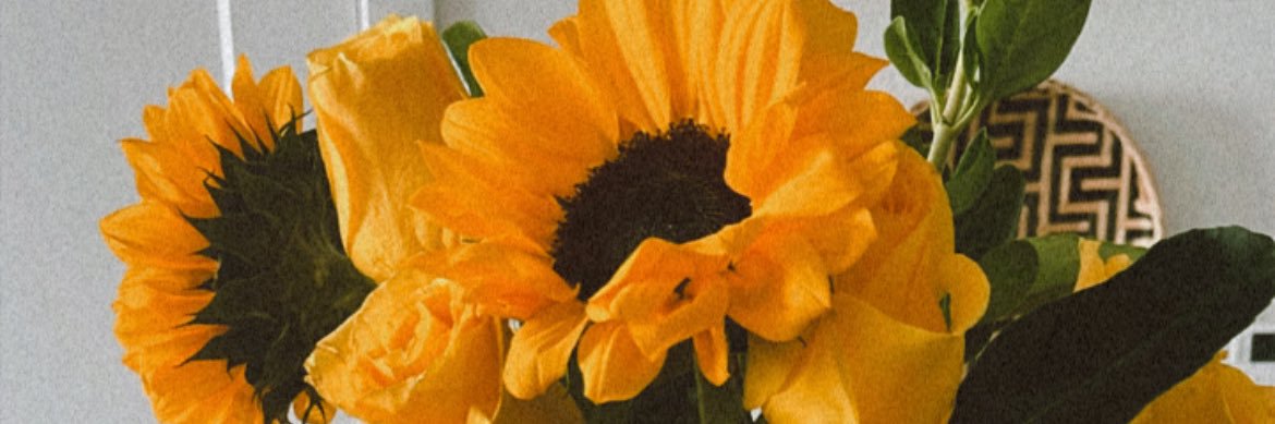 HeyBranielle's profile banner image