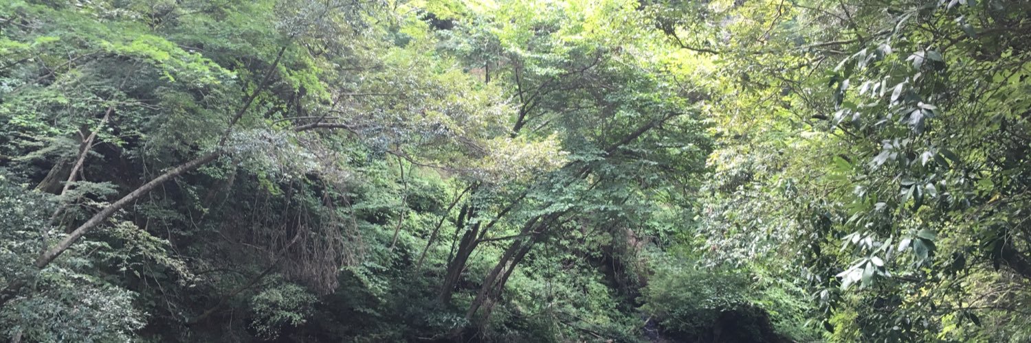 dokumogui's profile banner image