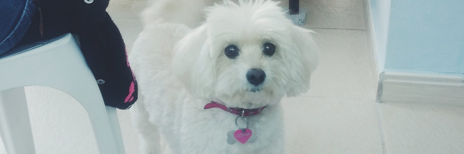 GomesCooper's profile banner image