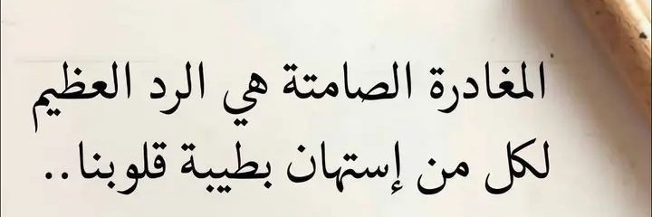 علي مجرشي banner