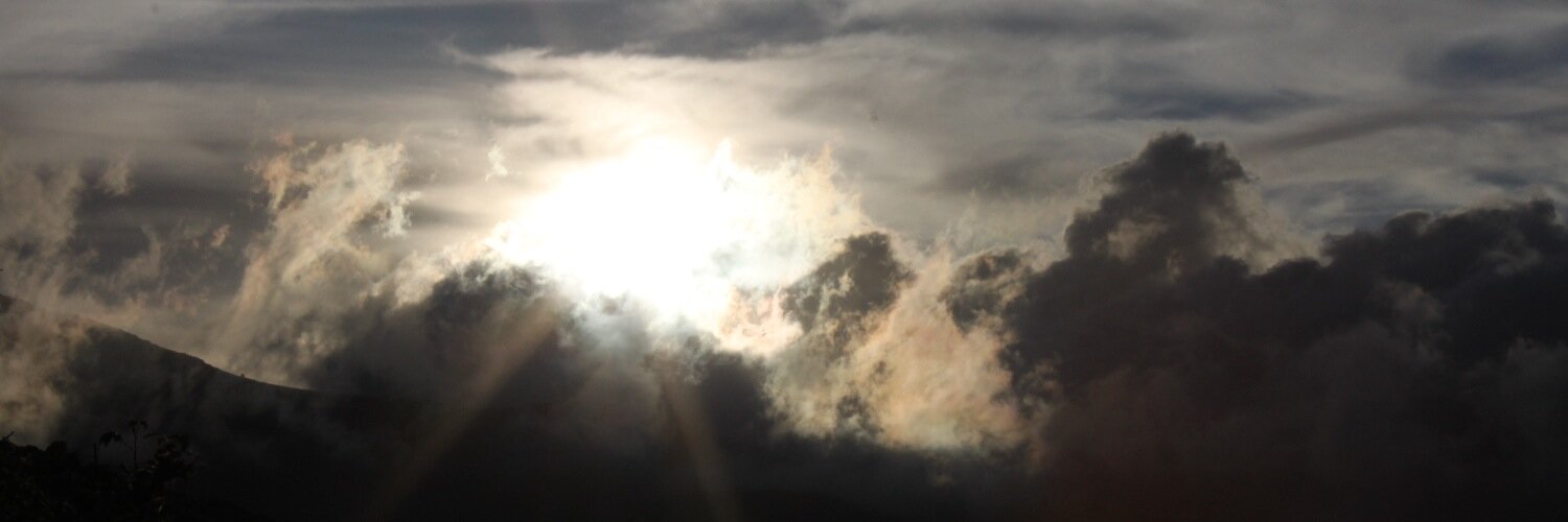 fiaskogaul's profile banner image