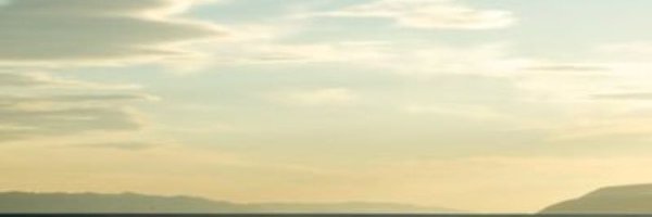 AlohaVeraz Profile Banner