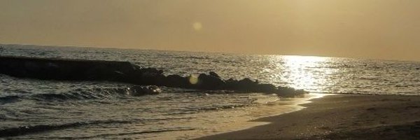 AlohaVeraz Profile Banner