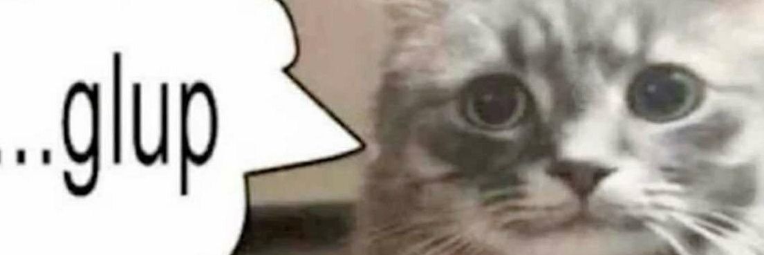 H.A.I.D.A P.O.O.P banner