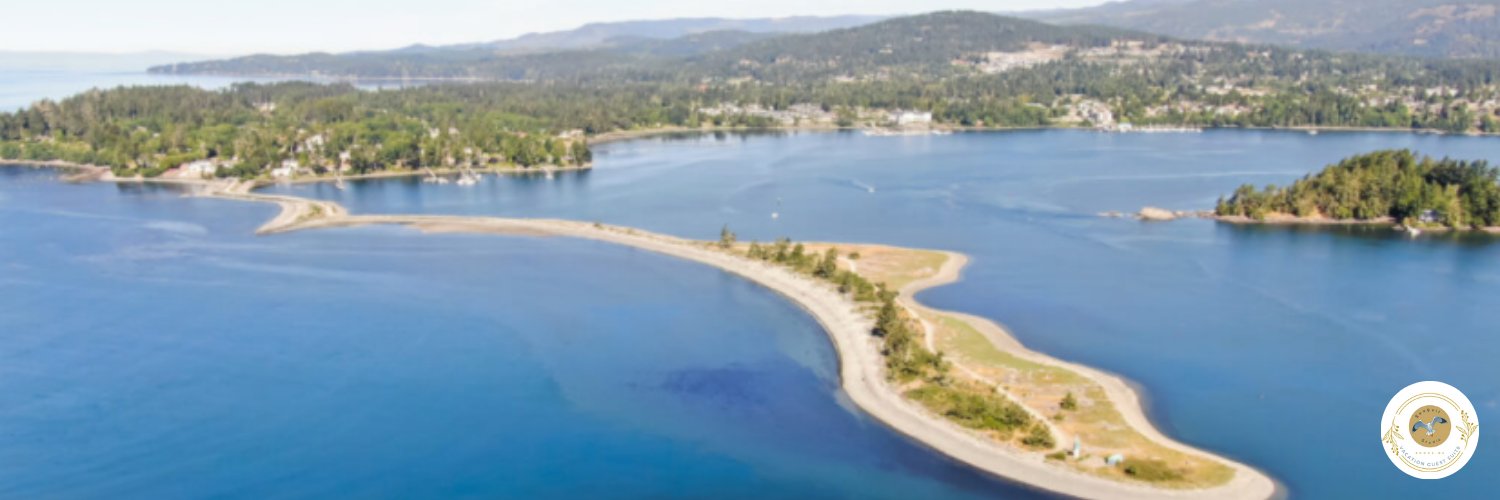 seagullsooke's profile banner image