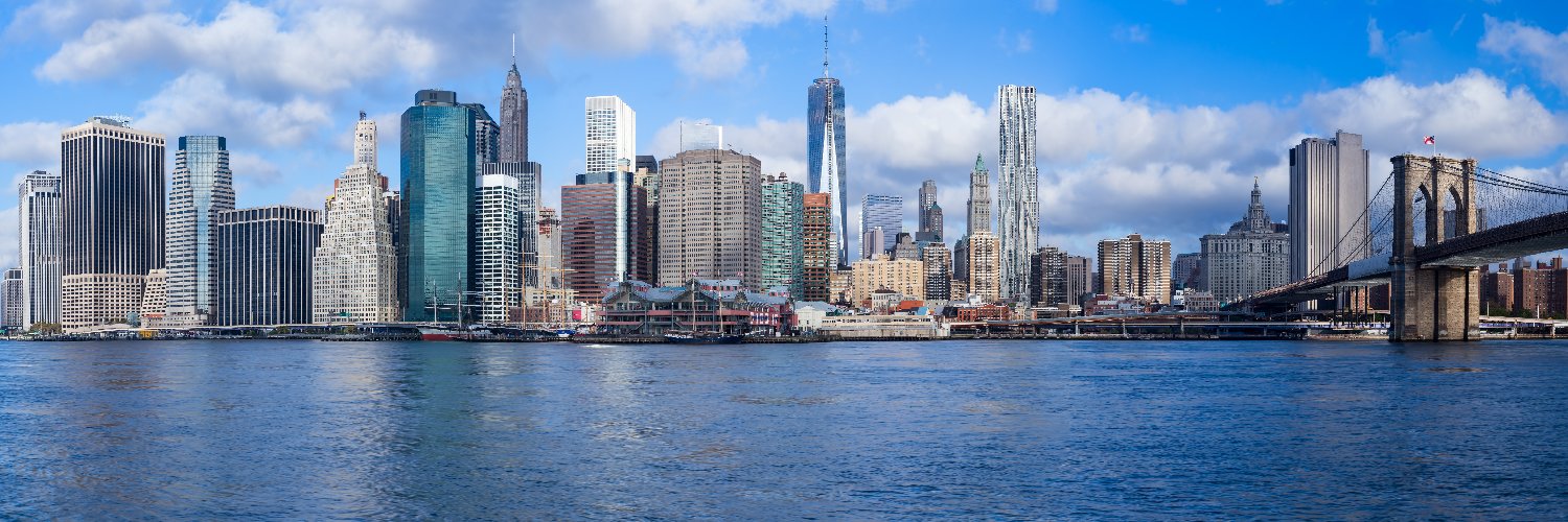 New York Auctions banner