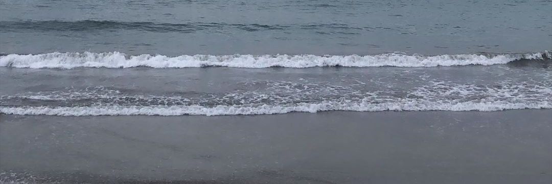 RL__Sandra's profile banner image