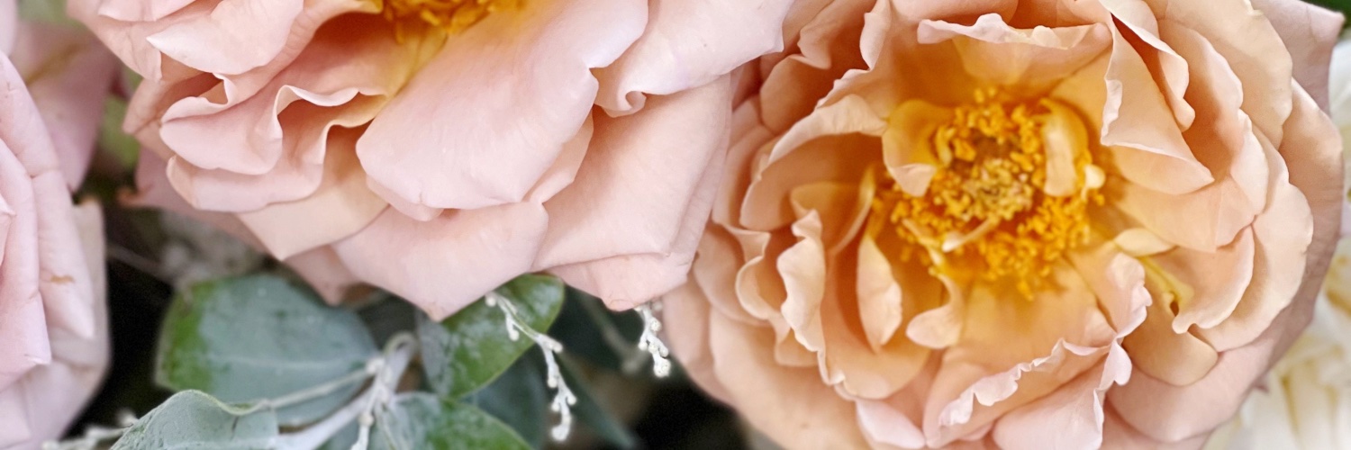 preciousbloom's profile banner image