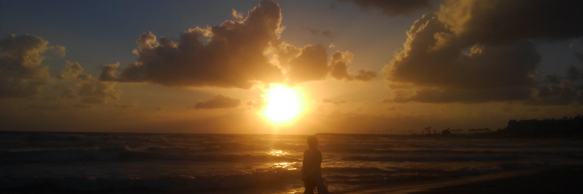 numaxify's profile banner image