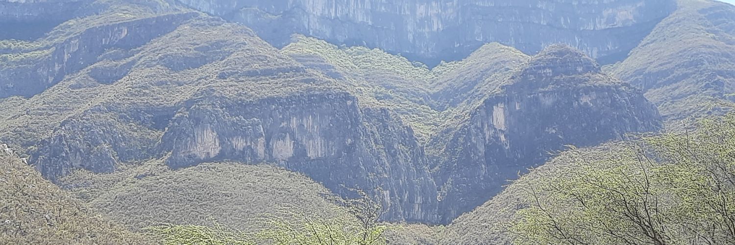 ADOLFOCARRIZAL1's profile banner image