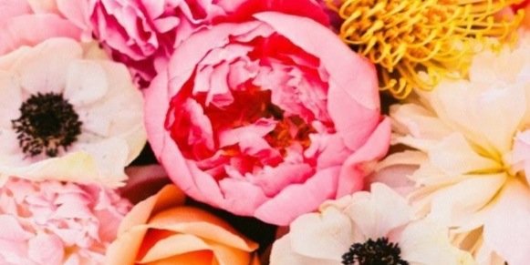 ShainaDt's profile banner image