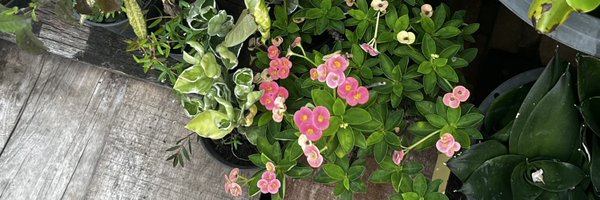 C8910163128384C Profile Banner