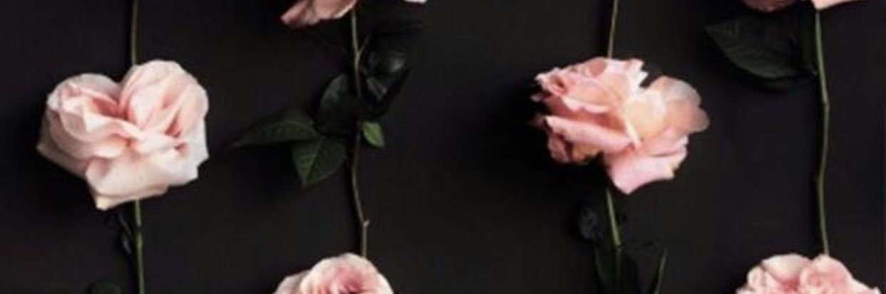 ValeeRivera2's profile banner image