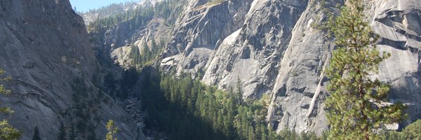 socalartgal3 Profile Banner