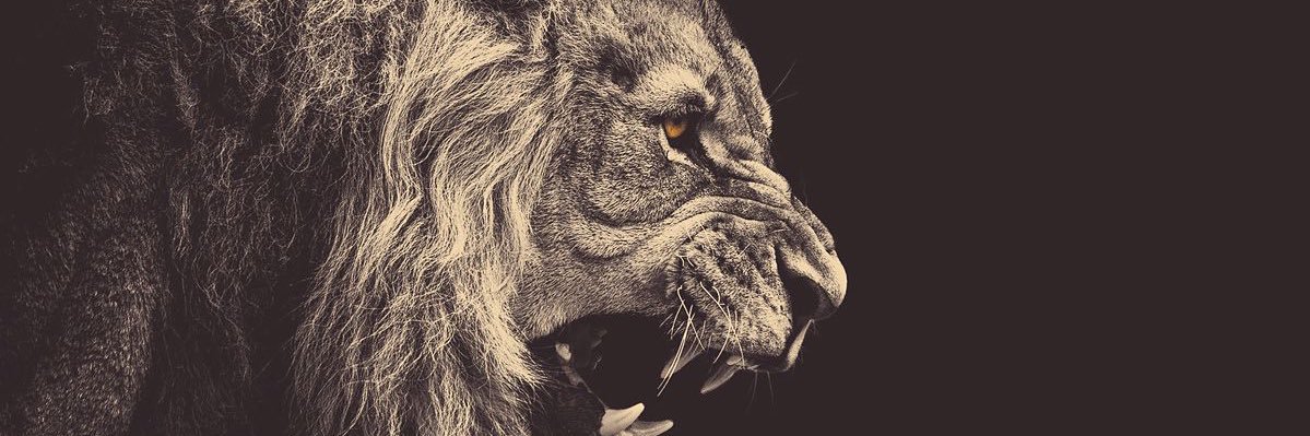 DwayneSutton's profile banner image