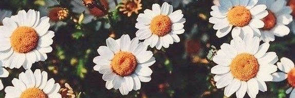 sol_salomone's profile banner image