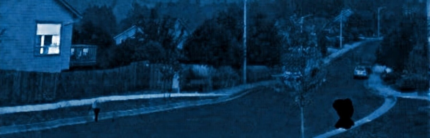 Daniela Never Rules 08 banner
