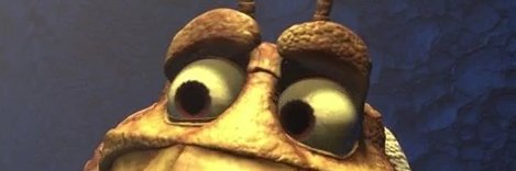 Molt banner