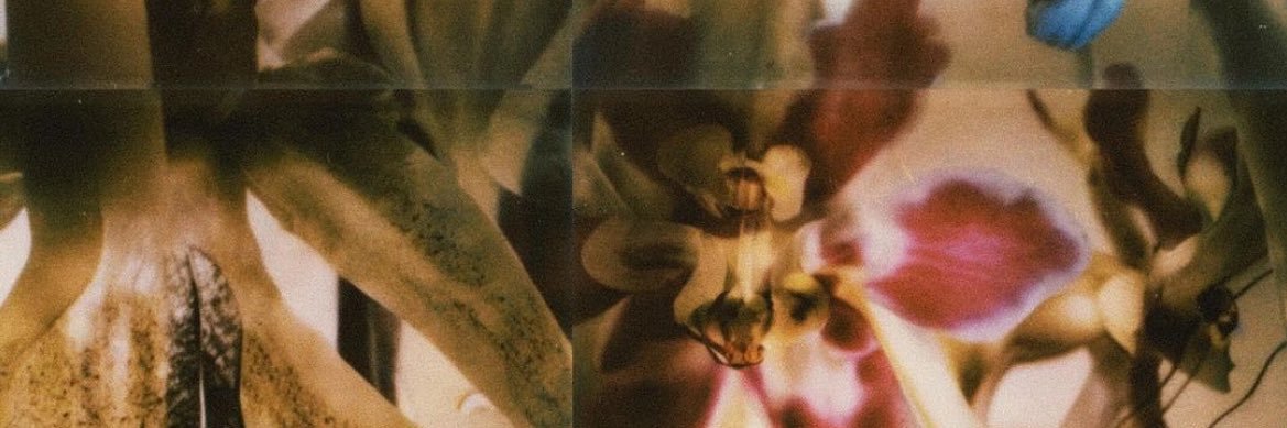 delficonversoo's profile banner image