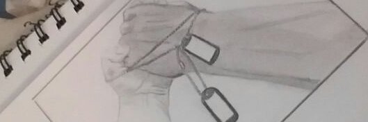 halcon_del_sur's profile banner image