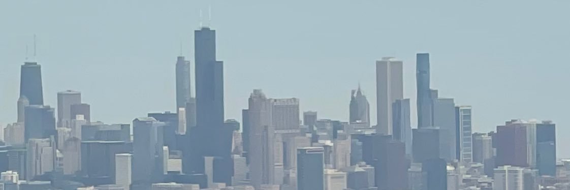 Harambe 🦍's banner