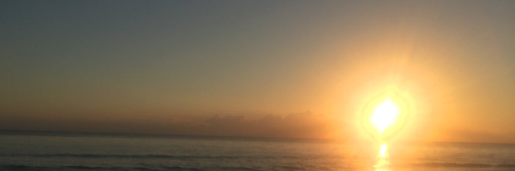 shloime28's profile banner image