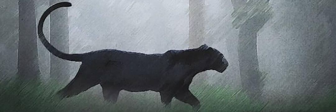 cesarantonio09's profile banner image