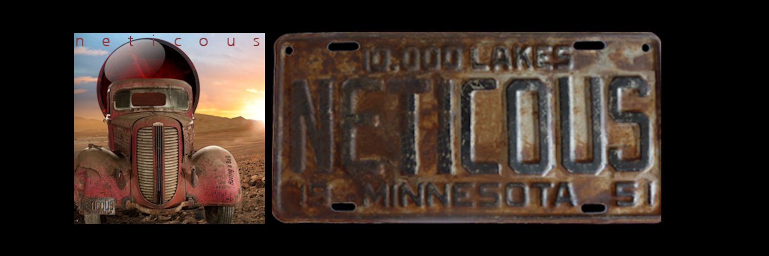 neticous's profile banner image