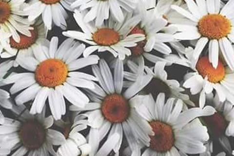 EvaGReynoso's profile banner image