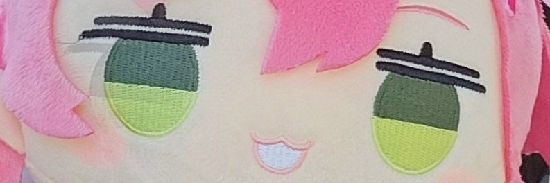 bbbbbneko23's profile banner image