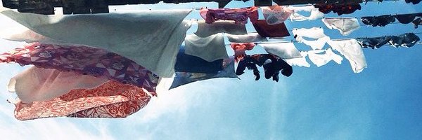 brinicio Profile Banner