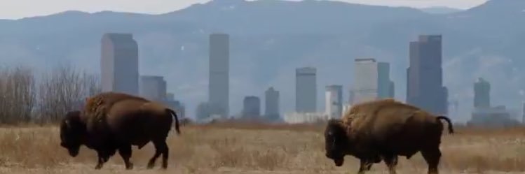 AaronLott303's profile banner image