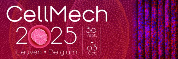 cellmech2025 Profile Banner