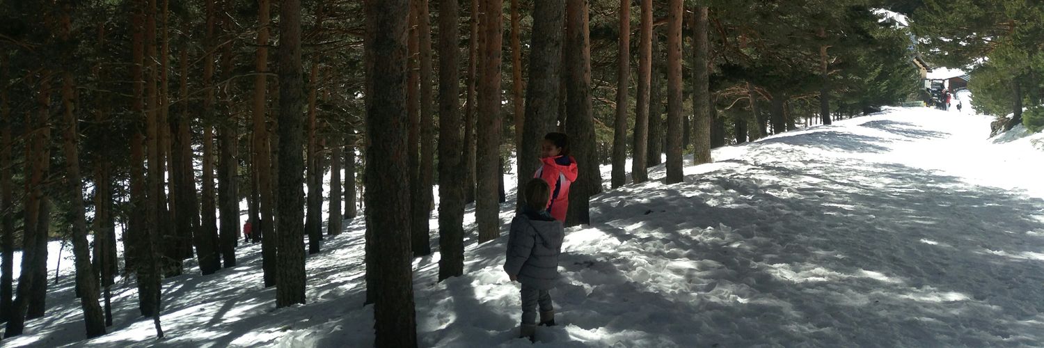 jzofio's profile banner image
