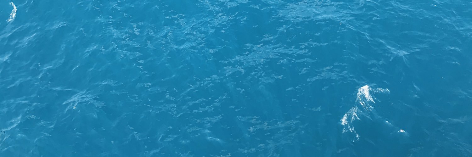 Tibreli Stagnum banner