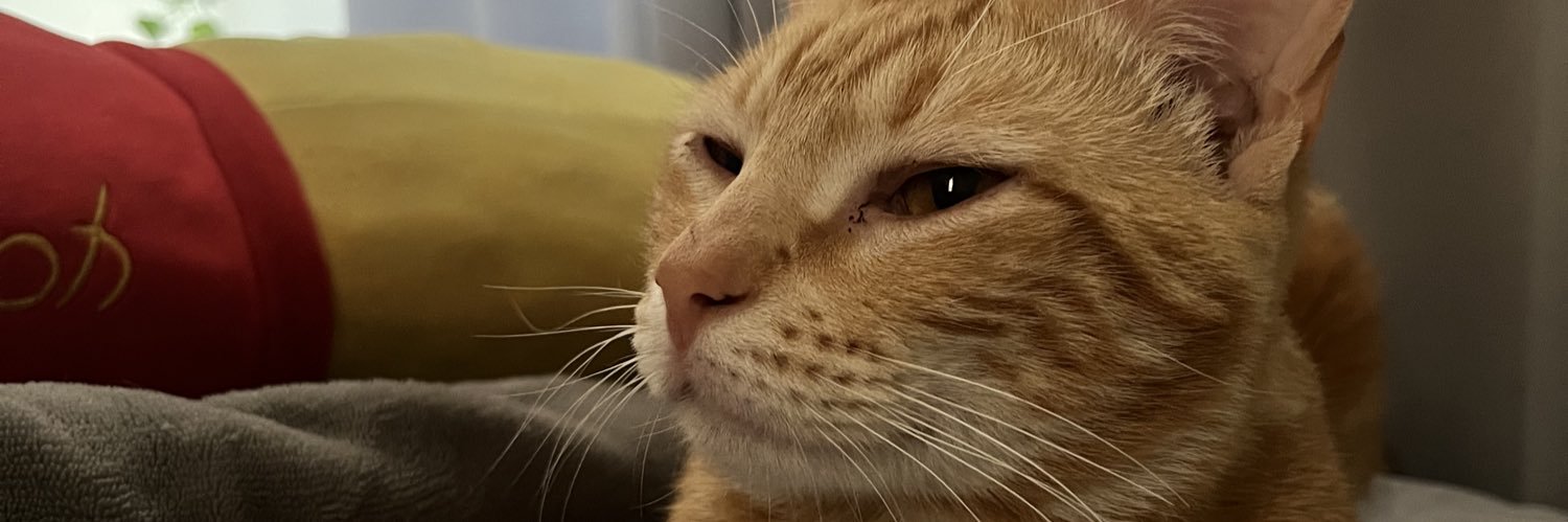 conejaaok's profile banner image