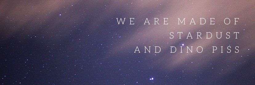 bex 💪 solidarity banner